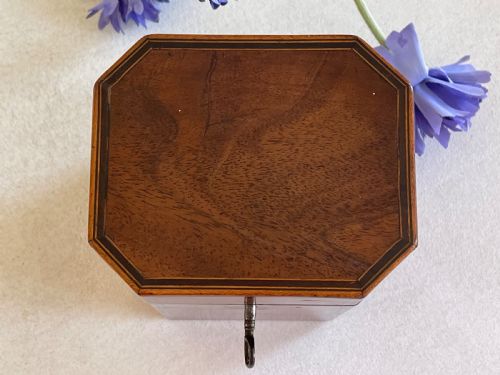 A SMALL GEORGIAN MAHOGANY TEA CADDY - ADDITIONAL PHOTO 3