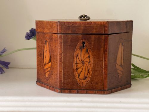 a georgian hexagonal tea caddy - CATEGORY: ANTIQUE BOXES - DATED GEORGIAN