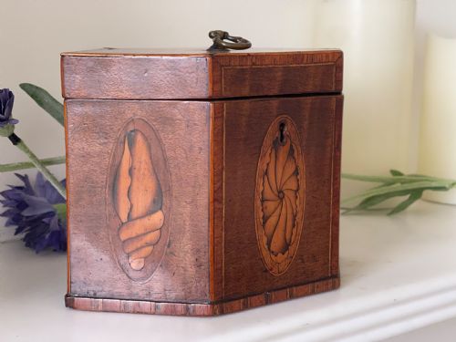 A GEORGIAN HEXAGONAL TEA CADDY - ADDITIONAL PHOTO 4