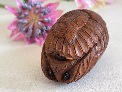 ANTIQUE COQUILLA NUT SNUFF BOX BUGBEAR - ADDITIONAL PHOTO 1