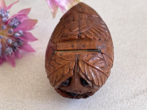 ANTIQUE COQUILLA NUT SNUFF BOX BUGBEAR - ADDITIONAL PHOTO 7