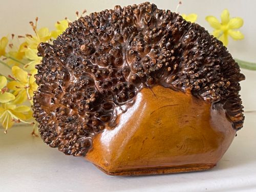 A N IMPRESSIVE LARGE ANTIQUE TABLE BURR SNUFF BOX - ADDITIONAL PHOTO 6