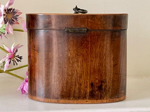 A GEORGIAN OVAL MAHOGANY TEA CADDY - ADDITIONAL PHOTO 1