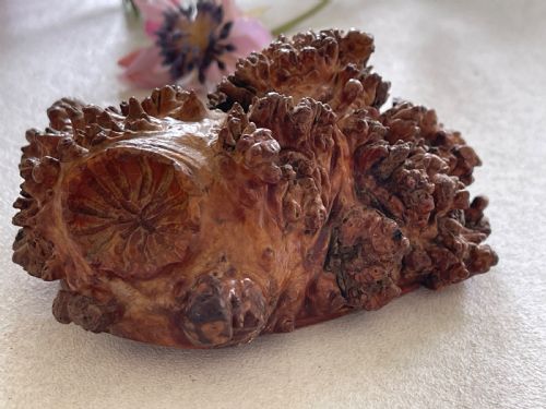 AN ANTIQUE TREEN BURR ROOT TABLE SNUFF BOX MAKERS NAME - ADDITIONAL PHOTO 2