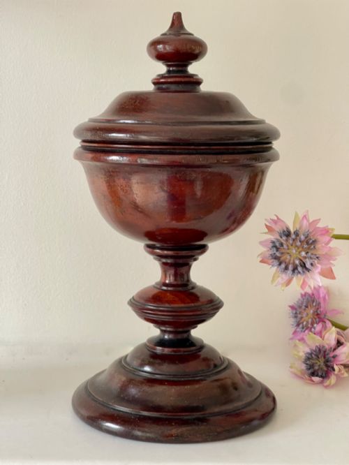 an antique treen spice or salt lidded pot - CATEGORY: ANTIQUE MISCELLANEOUS - DATED 19TH CENTURY