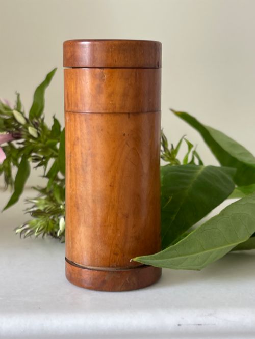 ANTIQUE TREEN VIEWINGGLASS BOX FOR TRAVELLING - ADDITIONAL PHOTO 1