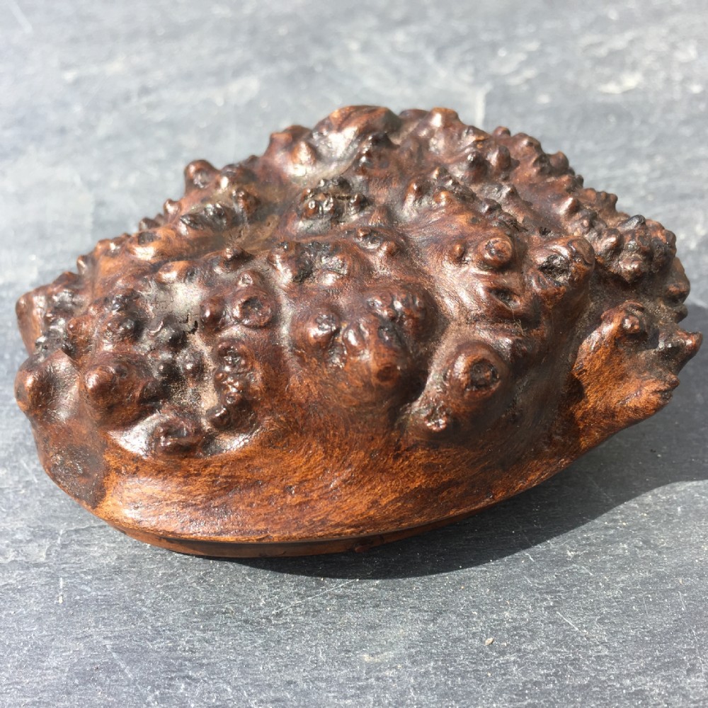 Antique Burr Maple Snuff Box