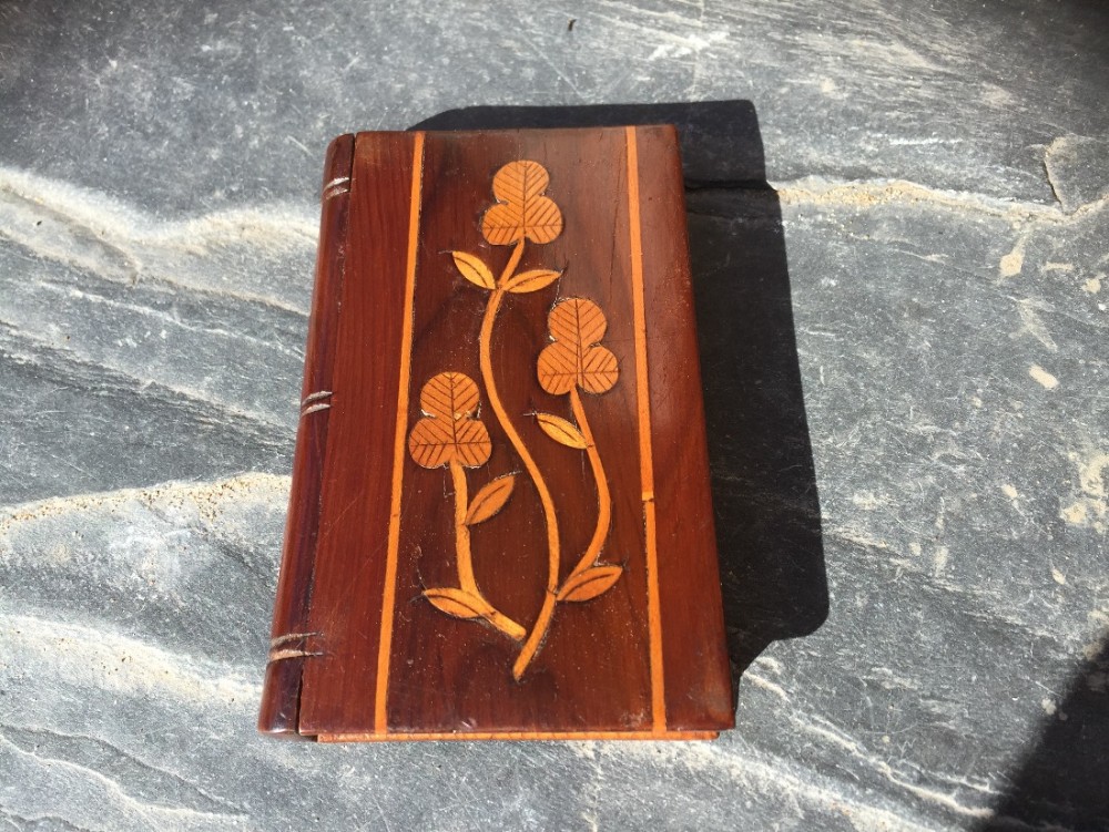 Antique Irish Killarney Card Case