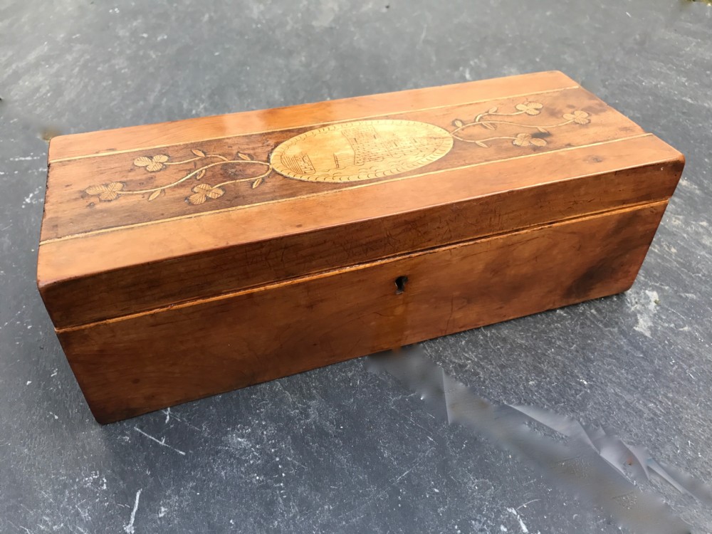 A 19th century Irish Killarney Ware Box  - Shamrock inlay