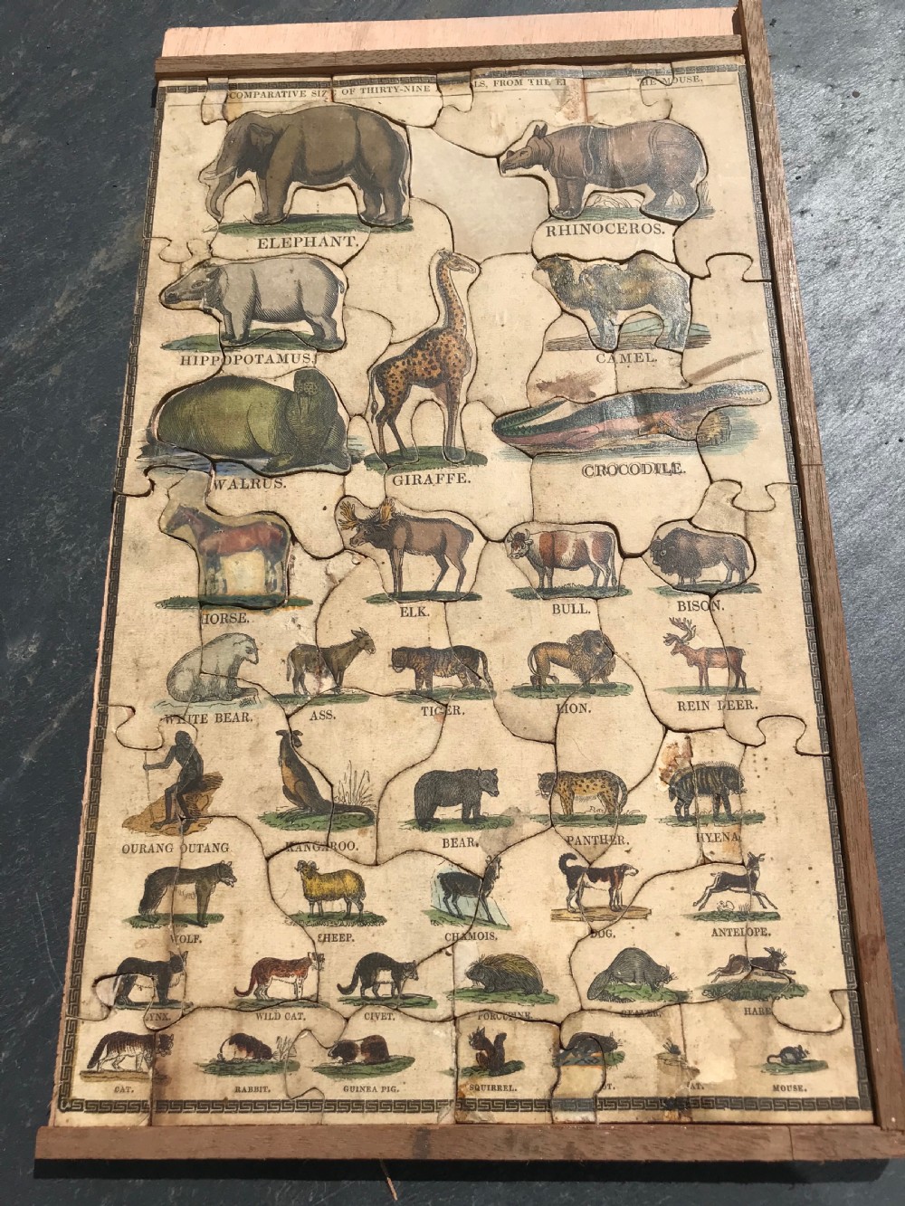 Antique Dissected/ Jigsaw Puzzle - Comparative size of Animals