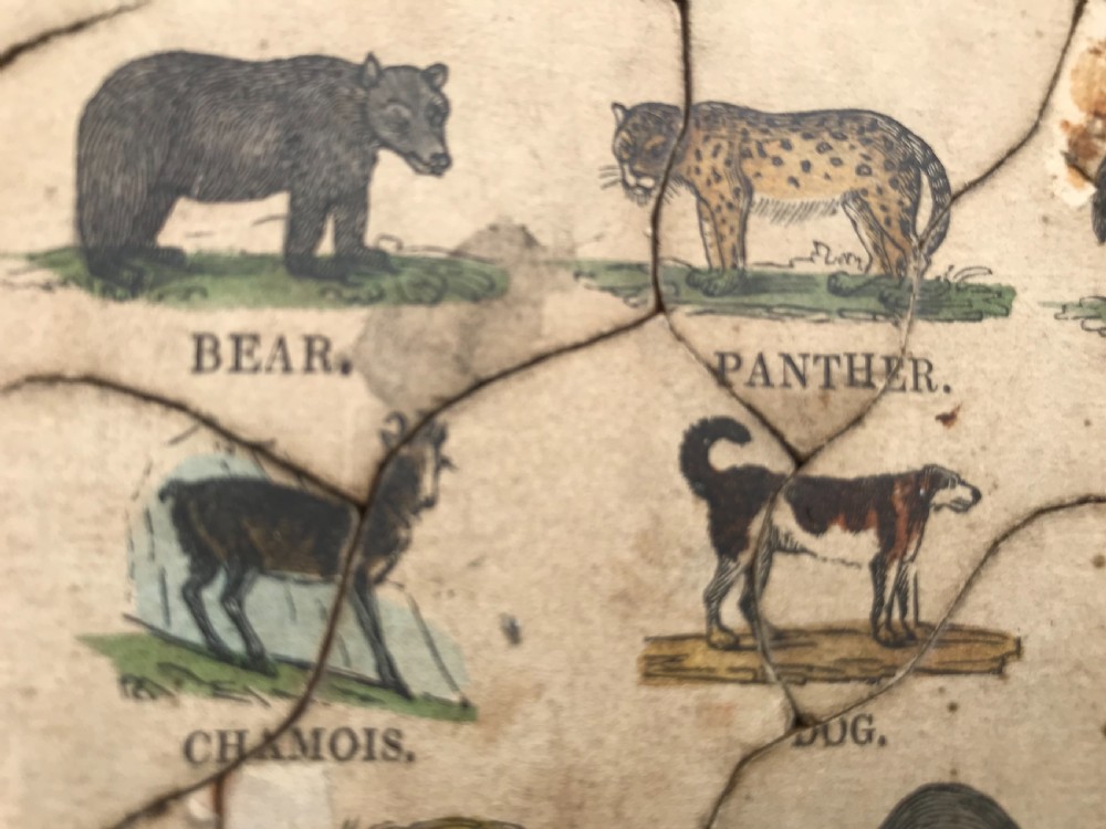 Antique Dissected/ Jigsaw Puzzle - Comparative size of Animals View IV