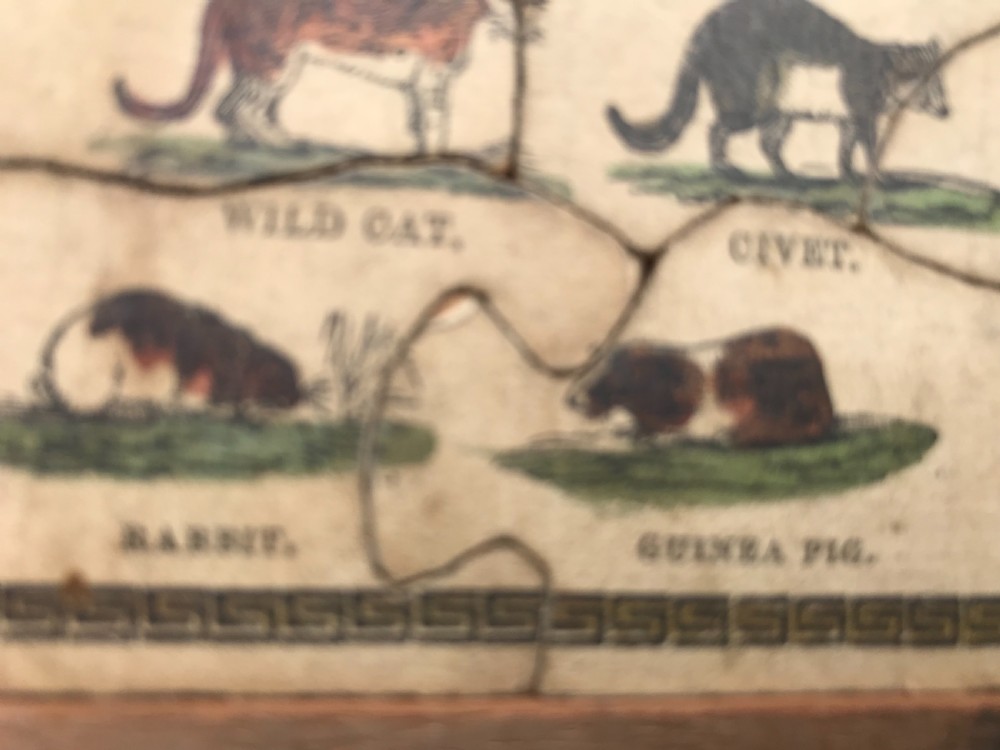 Antique Dissected/ Jigsaw Puzzle - Comparative size of Animals View V