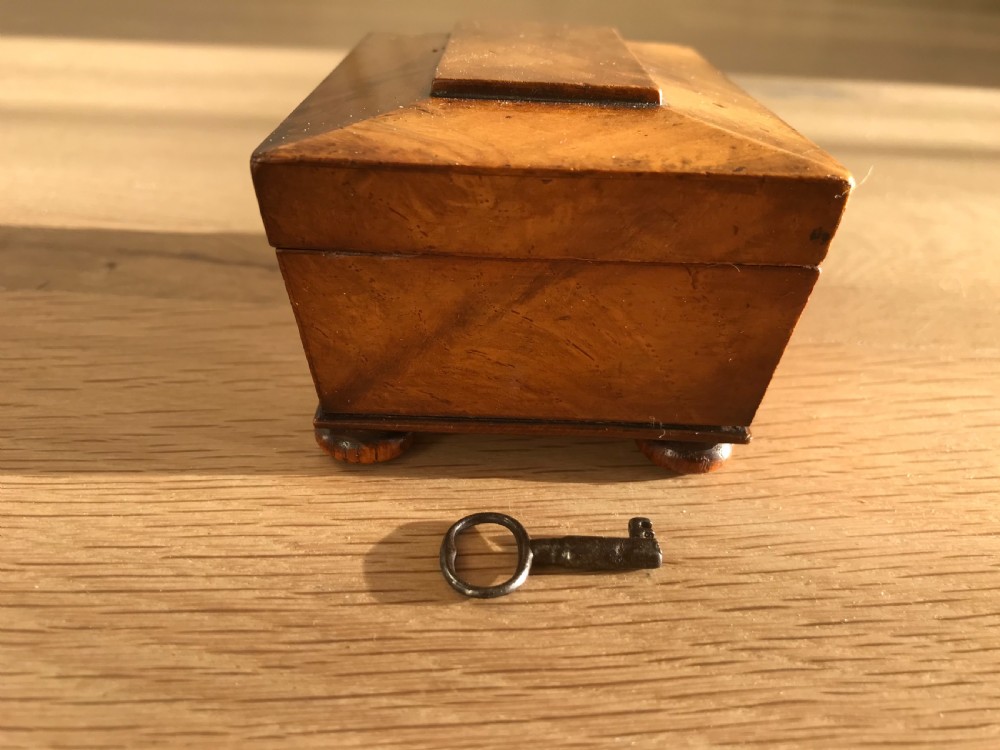 A Very Small Sarcophagus Antique Box View II
