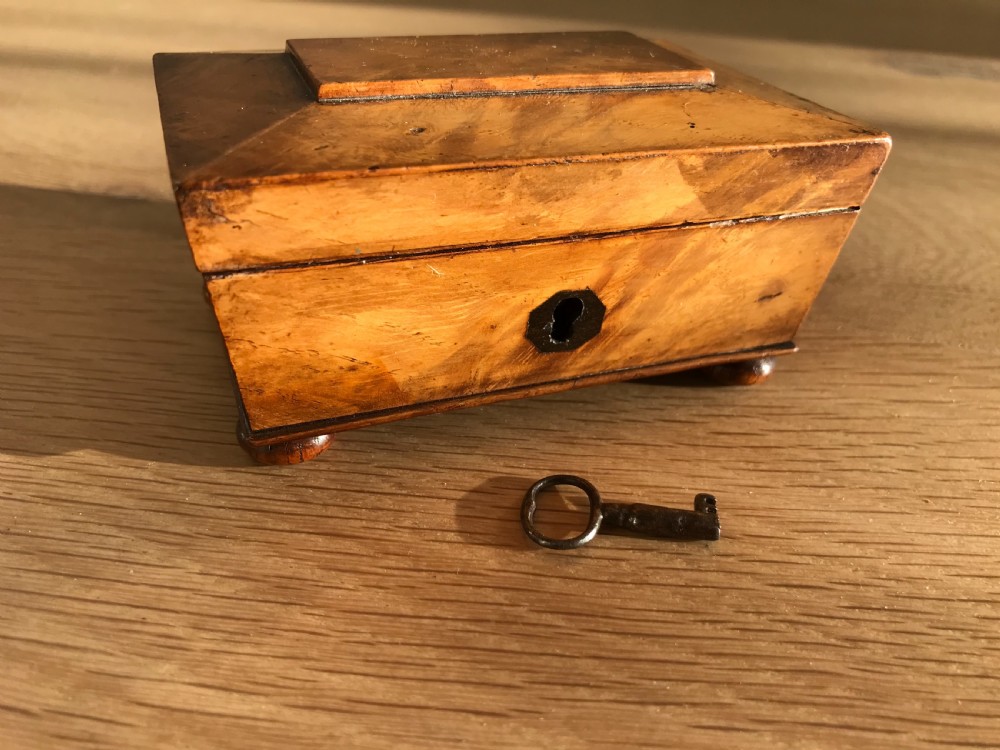 A Very Small Sarcophagus Antique Box View III