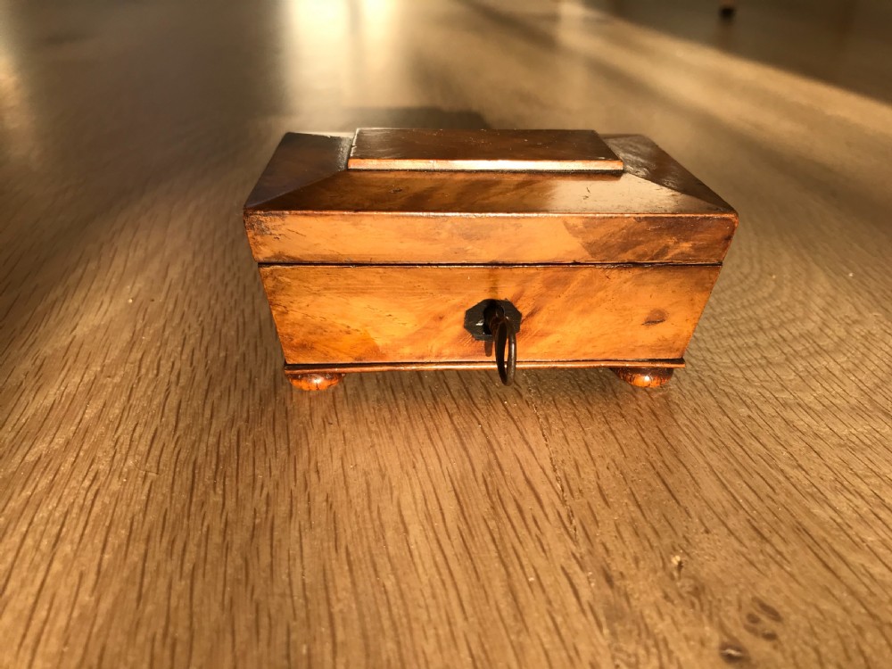 A Very Small Sarcophagus Antique Box View IX