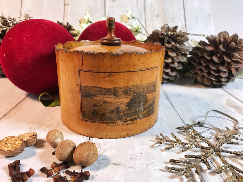 Antique Scottish Spice Box View II