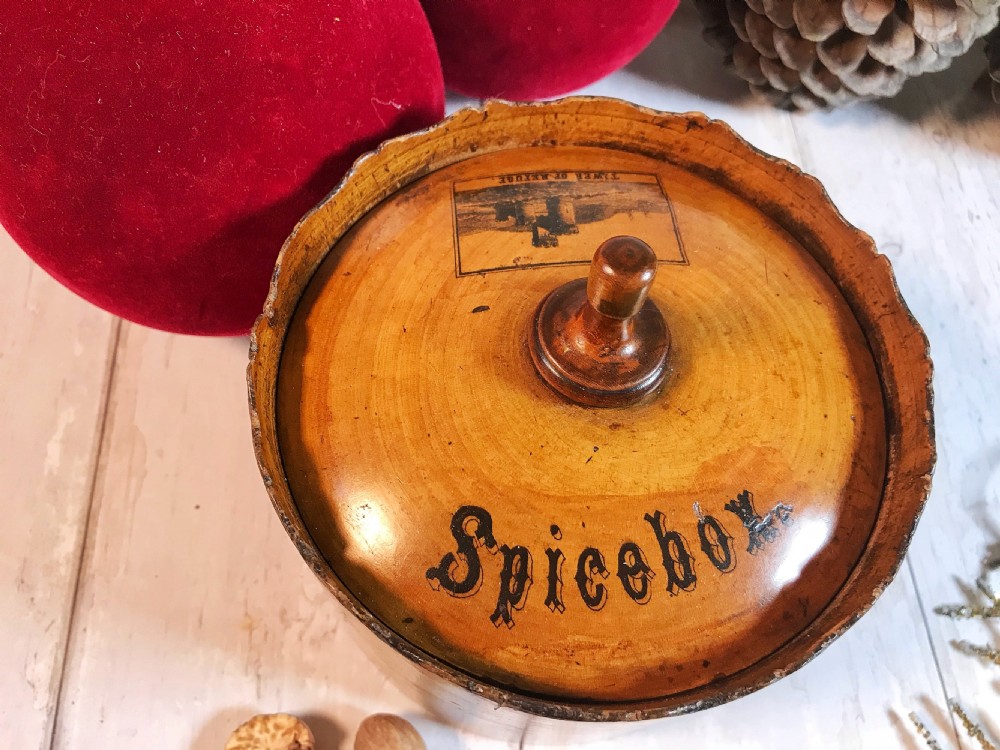 Antique Scottish Spice Box View IV