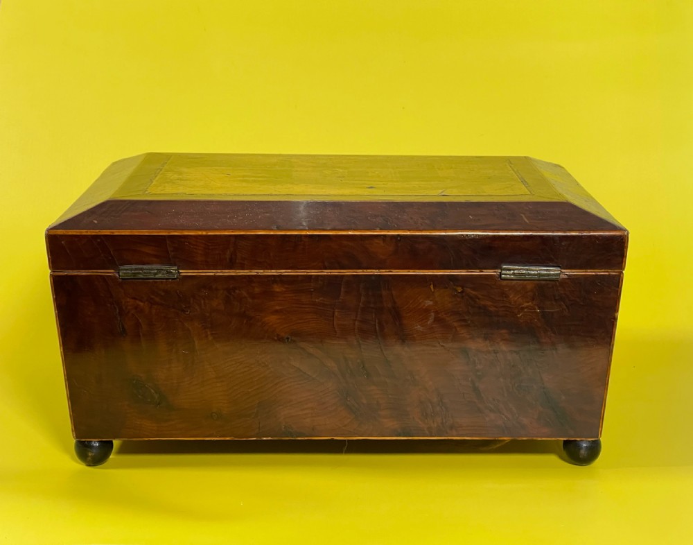 Antique Yew Wood Box