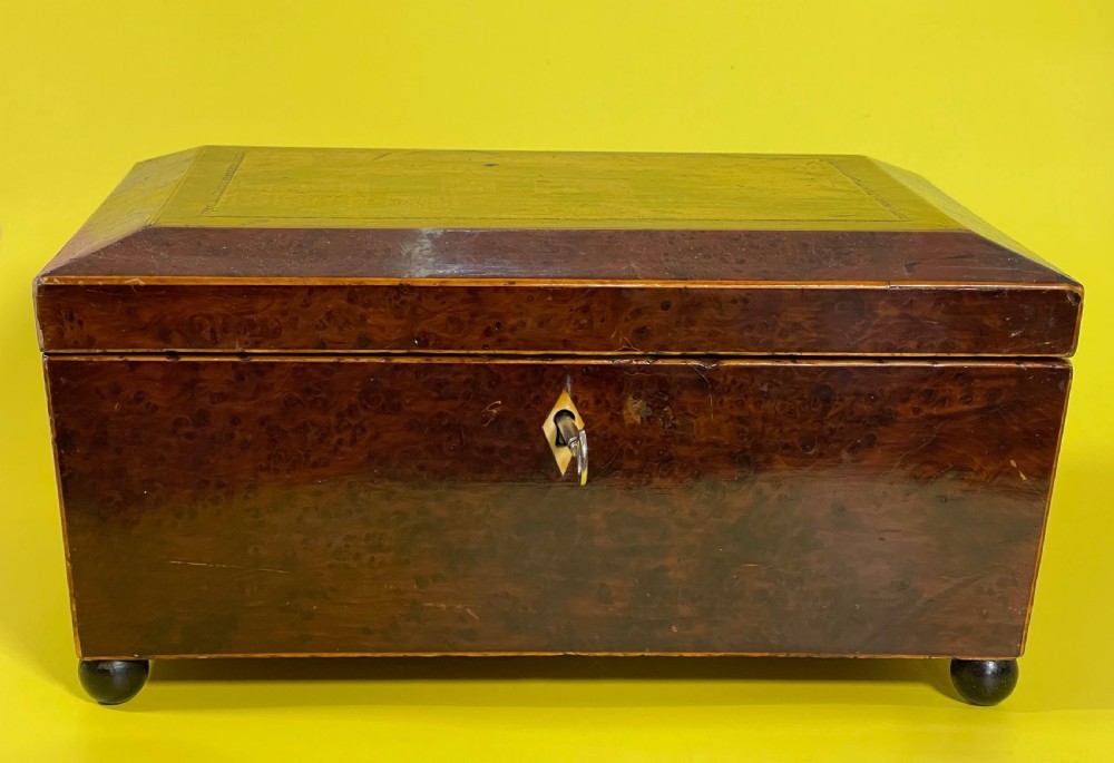 Antique Yew Wood Box View IV
