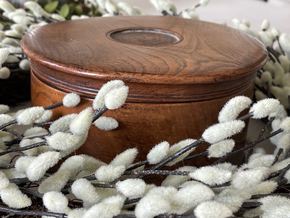 Antique Elm Spice Box View VII