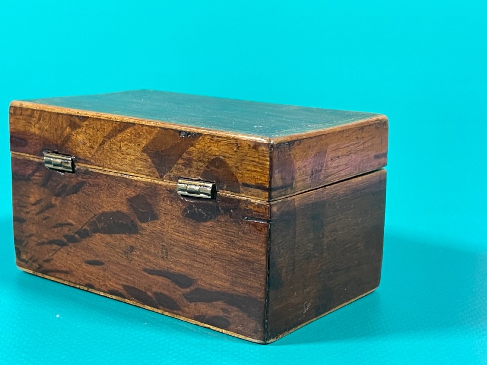 Antique Georgian Mini Box - Partridge Wood View III