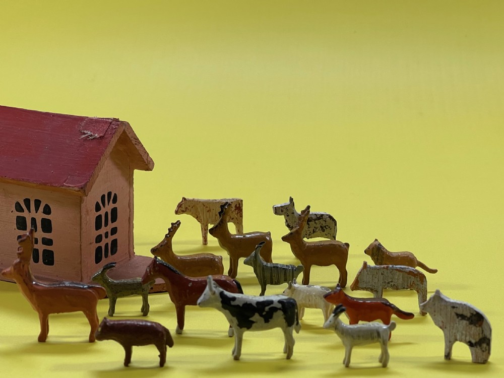 A Small Folk Art Noahs Ark - with a mixture of 19 animals View II