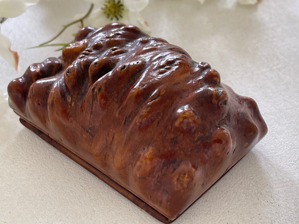 Antique Burr Root Scottish Table Snuff Box