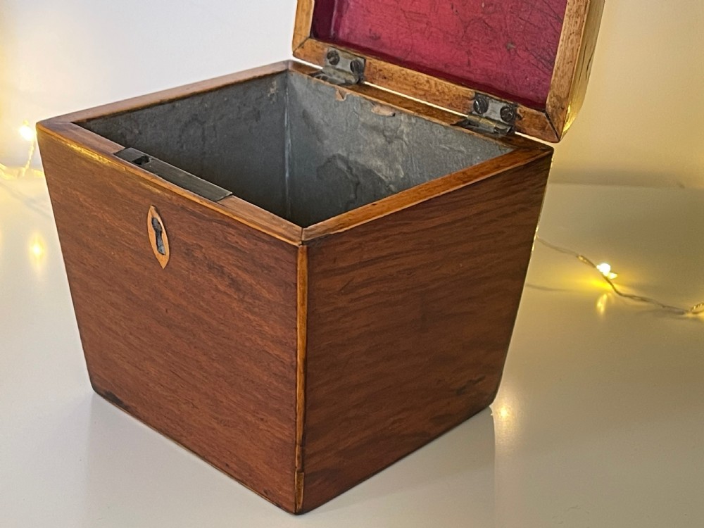 Antique Single Compartment Partridge Wood  Tea Caddy - Sarcophagus shaped View II
