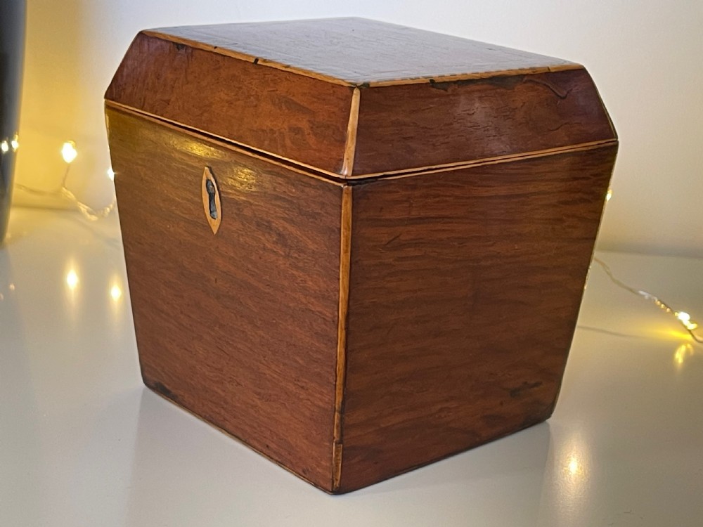 Antique Single Compartment Partridge Wood  Tea Caddy - Sarcophagus shaped View III