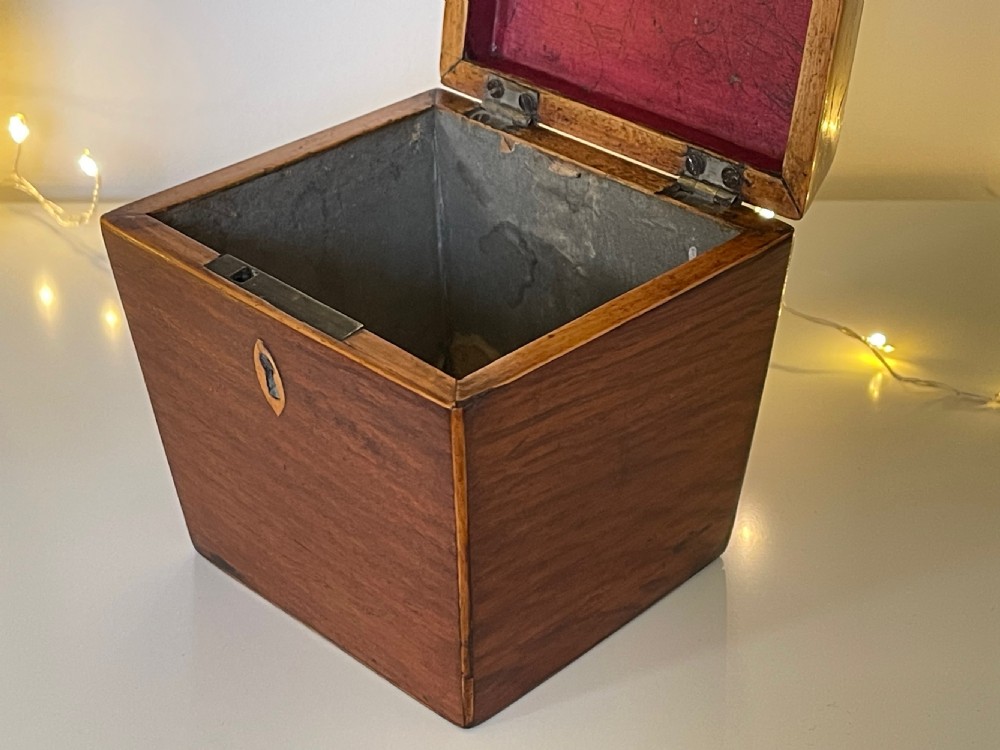 Antique Single Compartment Partridge Wood  Tea Caddy - Sarcophagus shaped View VI