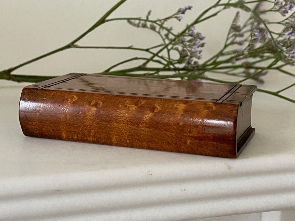 Antique Treen Birds Eye Maple Snuff Box View III