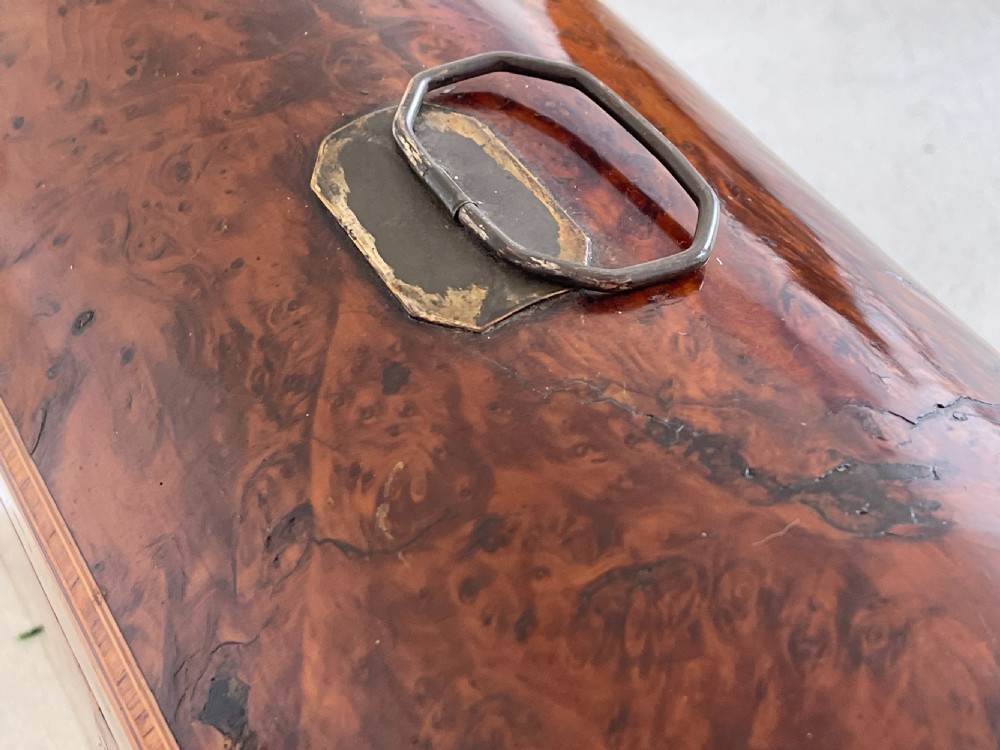 A Georgian Yew Wood Domed Topped Tea Caddy View VIII