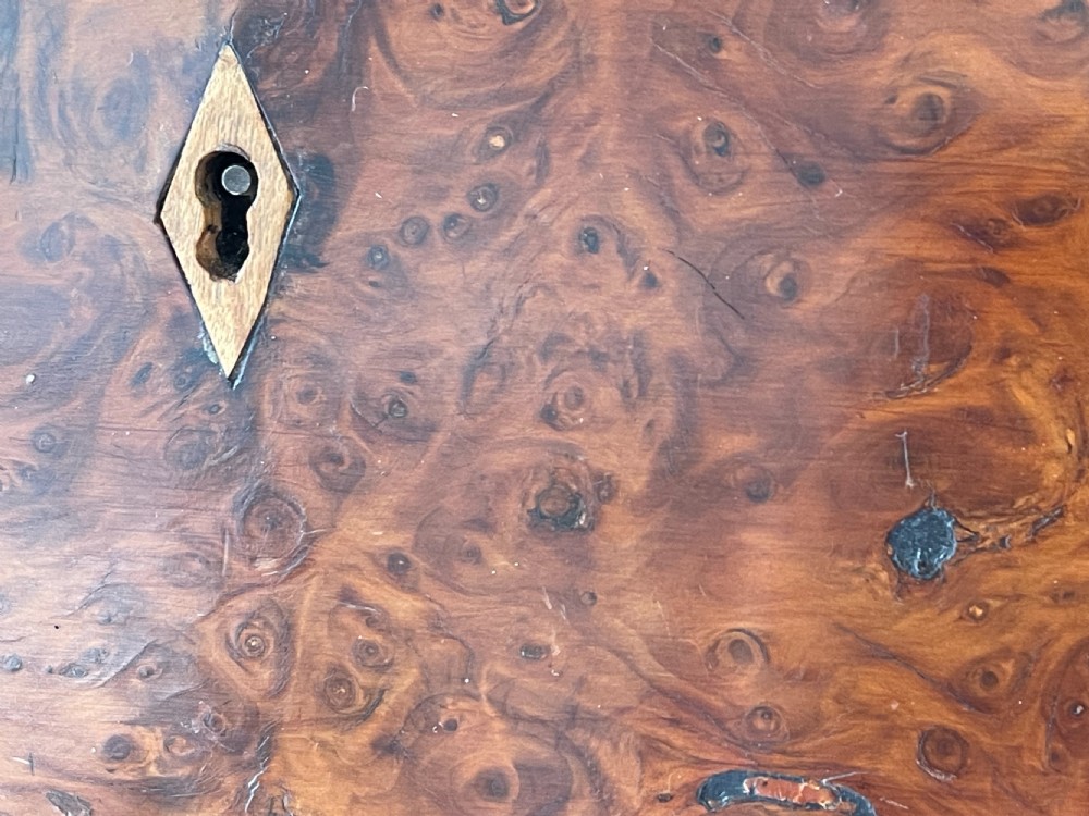 A Georgian Yew Wood Domed Topped Tea Caddy View X
