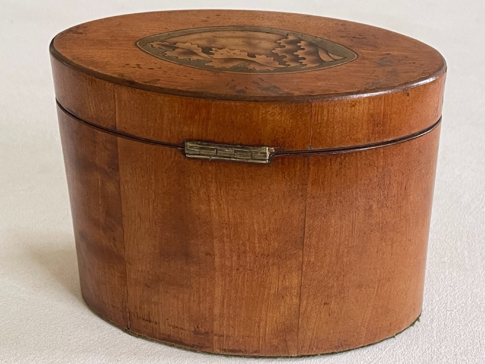 A Georgian Oval Satinwood Tea Caddy View III