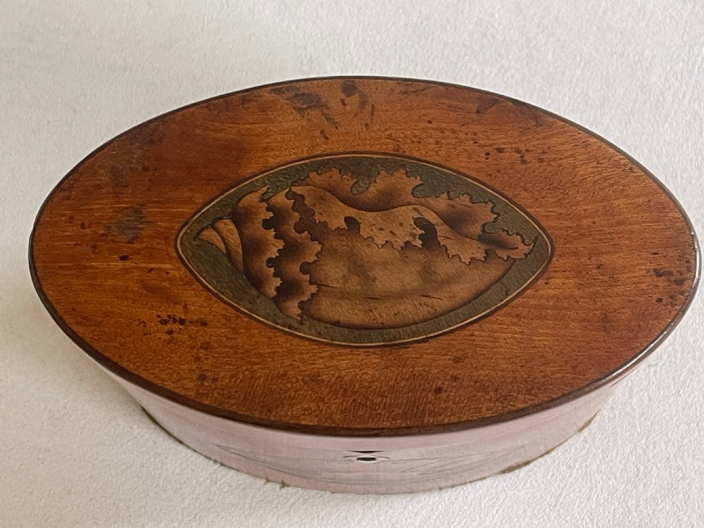 A Georgian Oval Satinwood Tea Caddy View IV