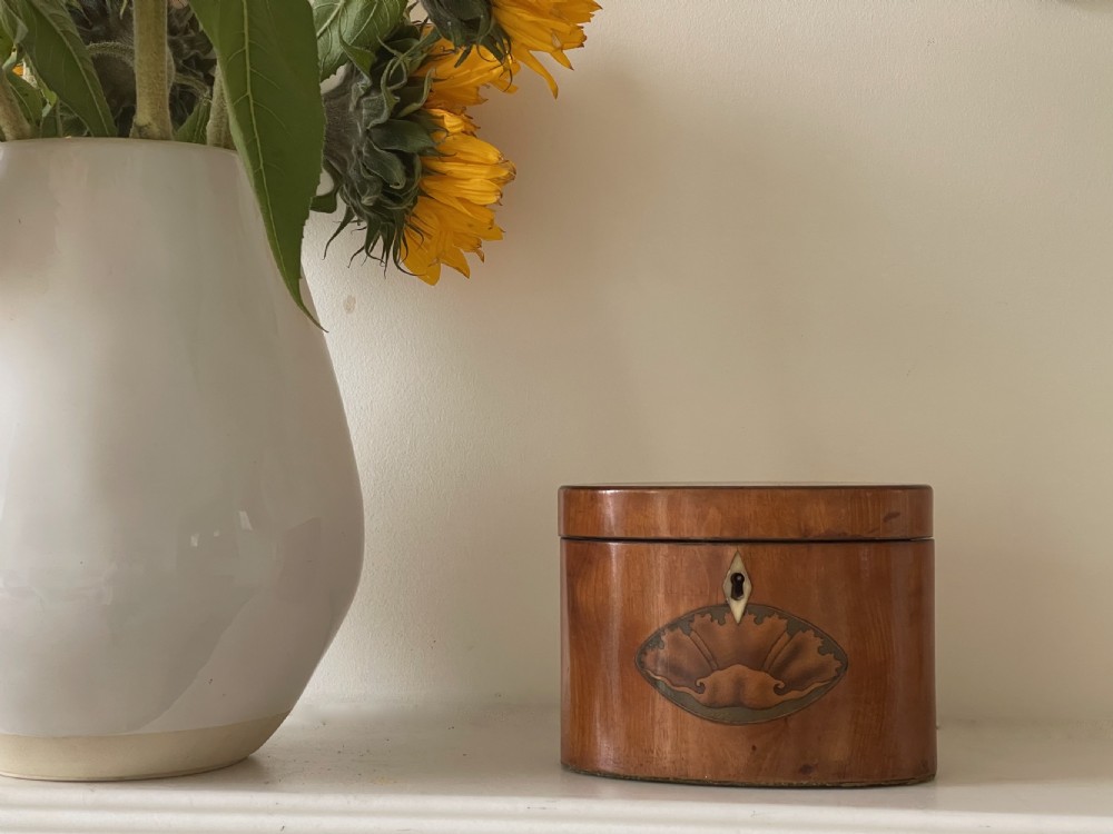 A Georgian Oval Satinwood Tea Caddy View VI