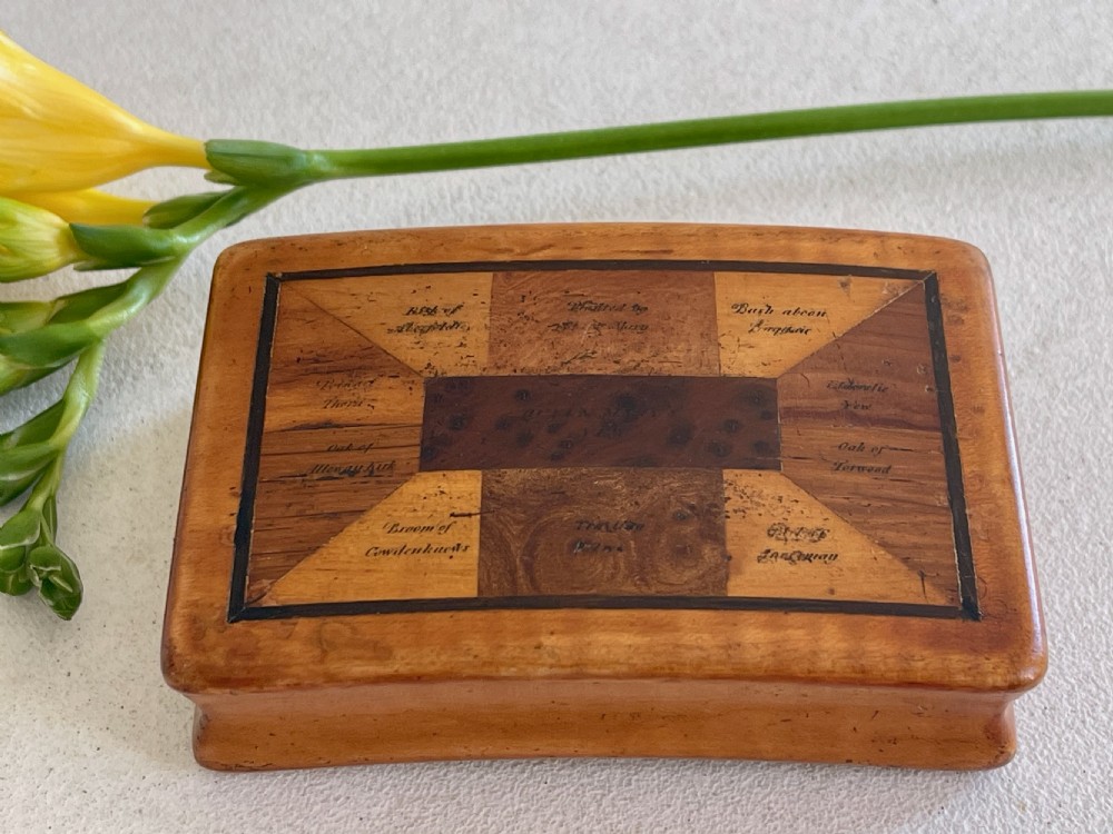 An Antique Scottish Specimen Wood Snuff Box