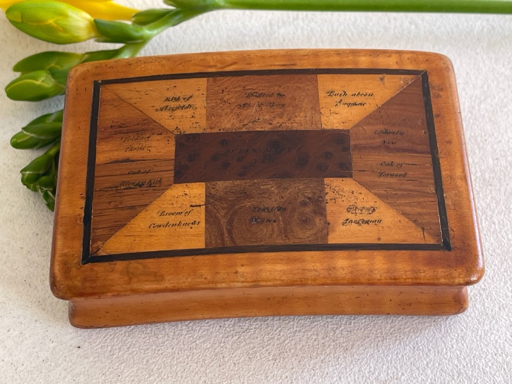 An Antique Scottish Specimen Wood Snuff Box View III
