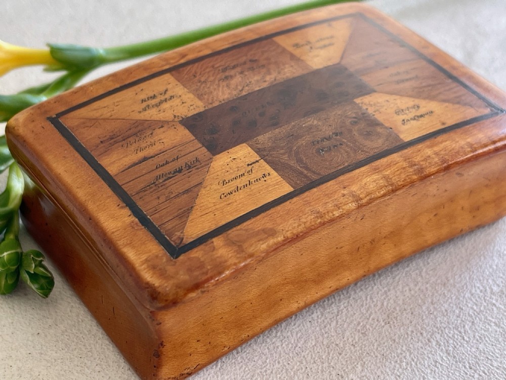 An Antique Scottish Specimen Wood Snuff Box View IV