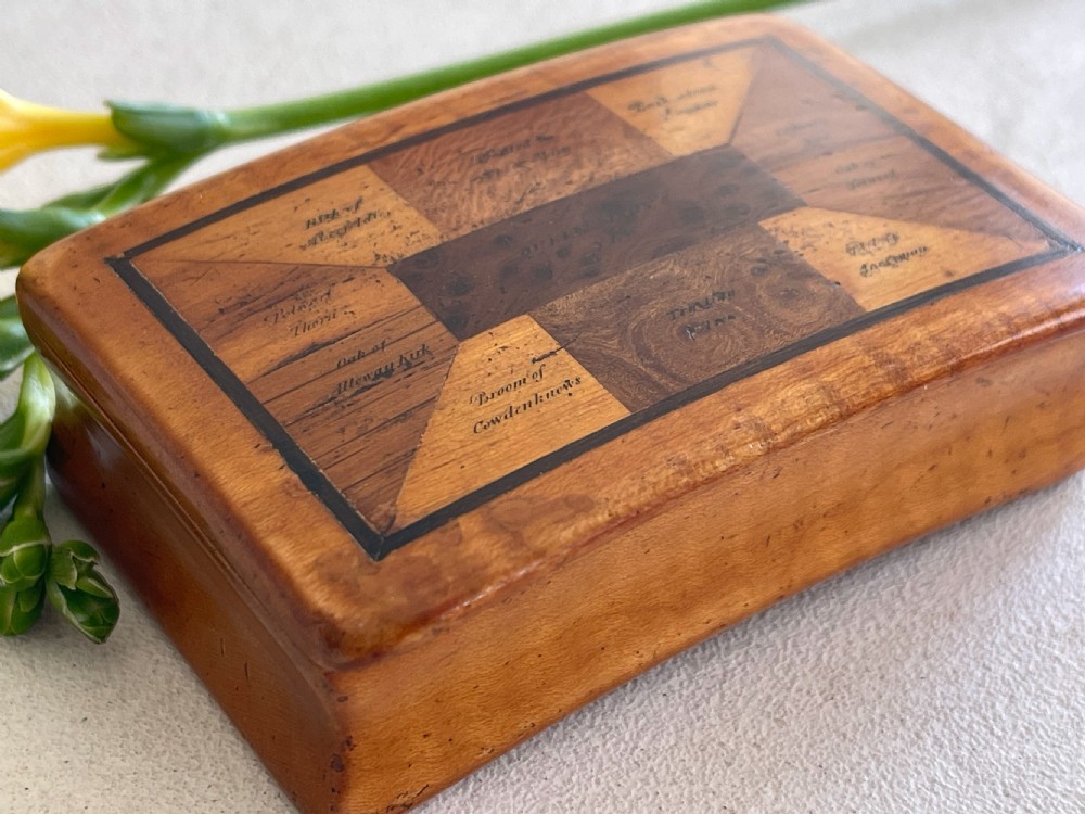 An Antique Scottish Specimen Wood Snuff Box View V