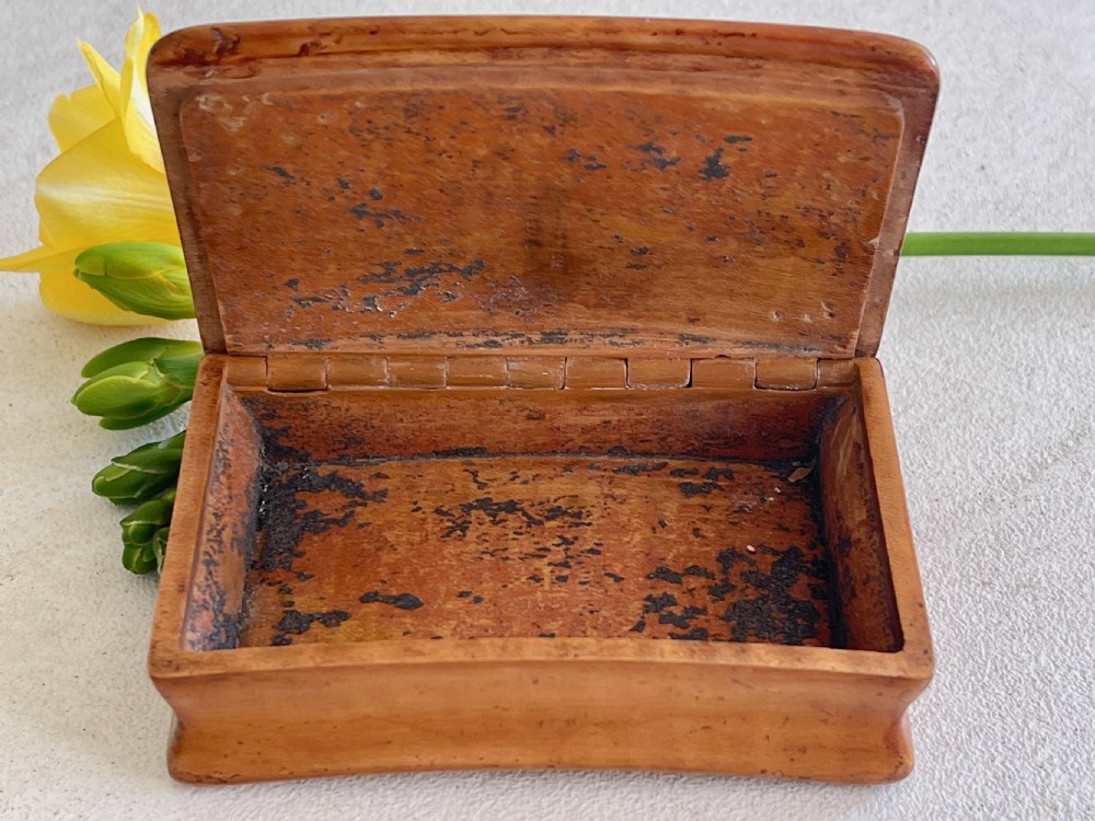 An Antique Scottish Specimen Wood Snuff Box View VI