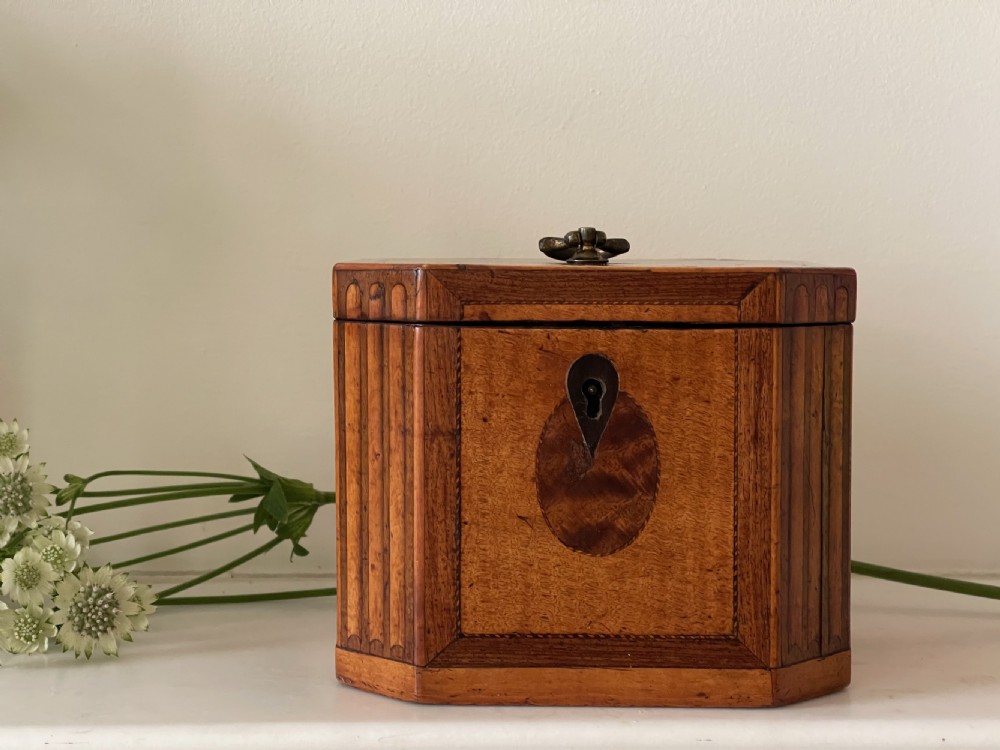 A Georgian Harewood Tea Caddy View II