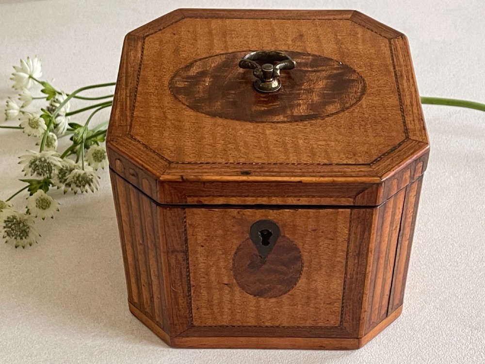 A Georgian Harewood Tea Caddy View III