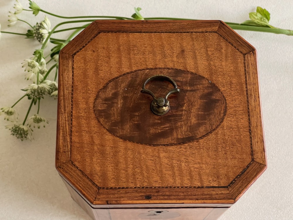 A Georgian Harewood Tea Caddy View VI