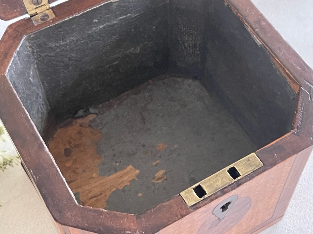 A Georgian Harewood Tea Caddy View VII
