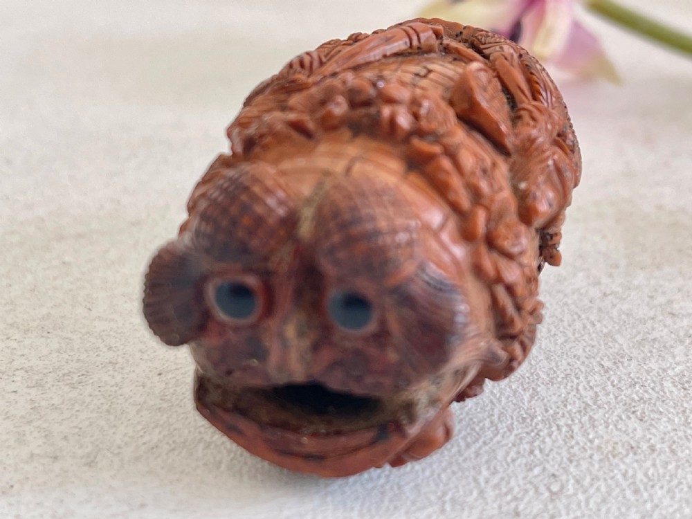 Antique Coquilla Nut  Bugbear Snuff Flask View VIII