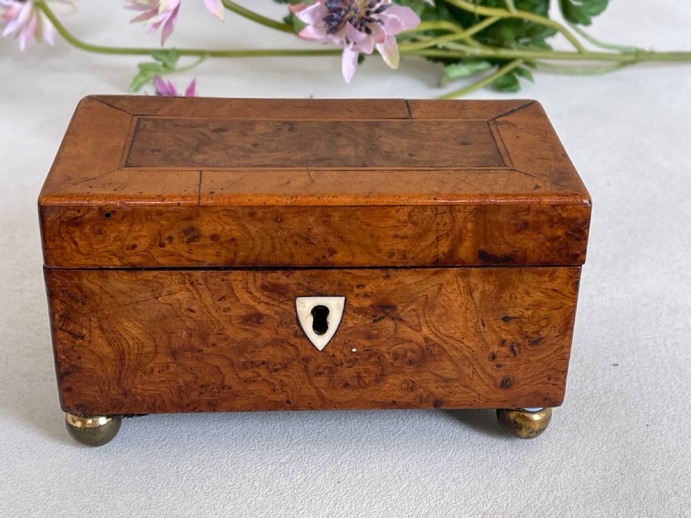 A Miniature Georgian Yew Wood Tea Caddy View II
