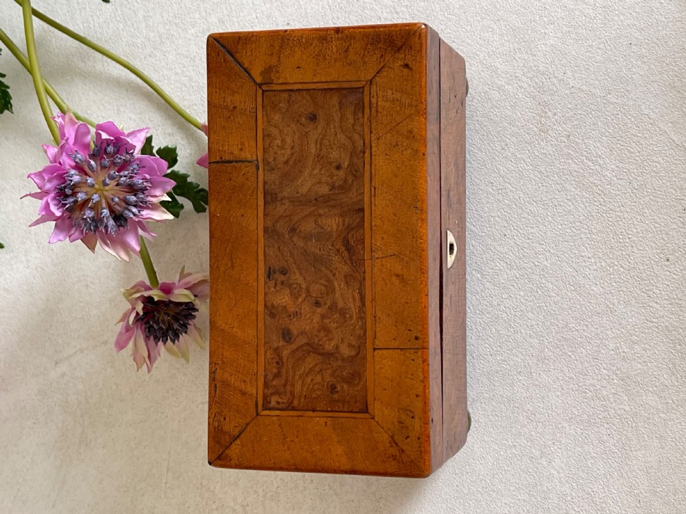 A Miniature Georgian Yew Wood Tea Caddy View VI
