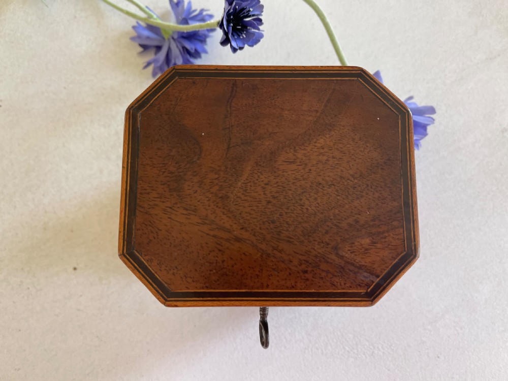 A Small Georgian Mahogany Tea Caddy View II