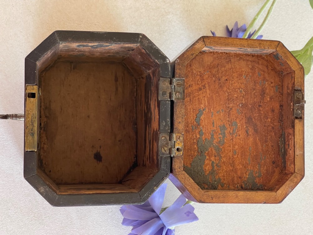 A Small Georgian Mahogany Tea Caddy View III